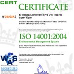 sample certificate 1