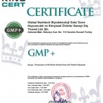 sample certificate 4