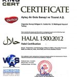 sample certificate 6