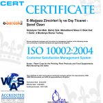 sample certificate 8